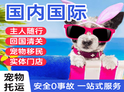 大兴机场货运国际宠物托运 【国